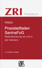 Praxisleitfaden SanInsFoG