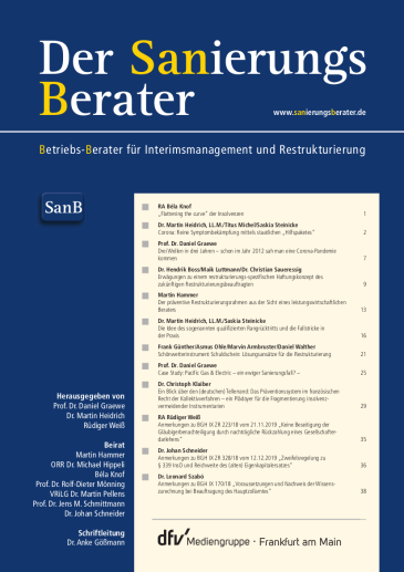  Der Sanierungsberater (SanB)