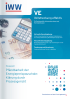 Vollstreckung effektiv (VE)